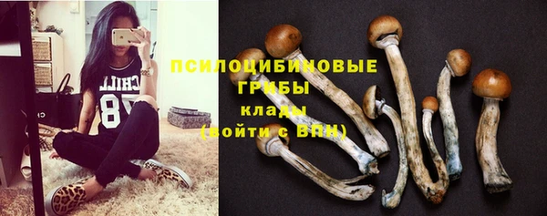 амф Строитель