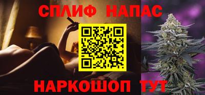 сатива Камышлов