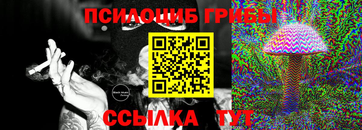 Галлюциногенные грибы Psilocybe Тайшет