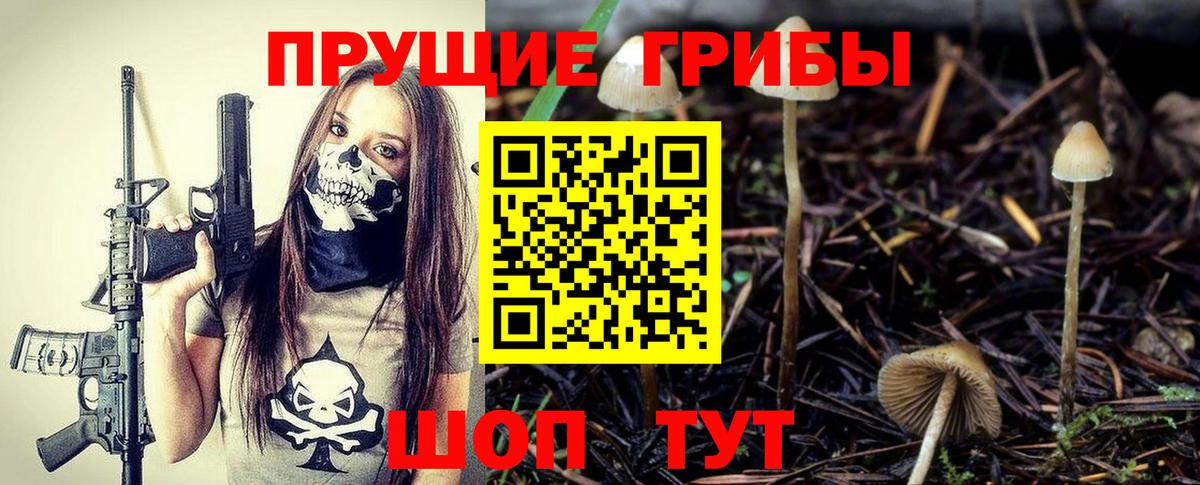 Галлюциногенные грибы мухоморы  Тайшет 