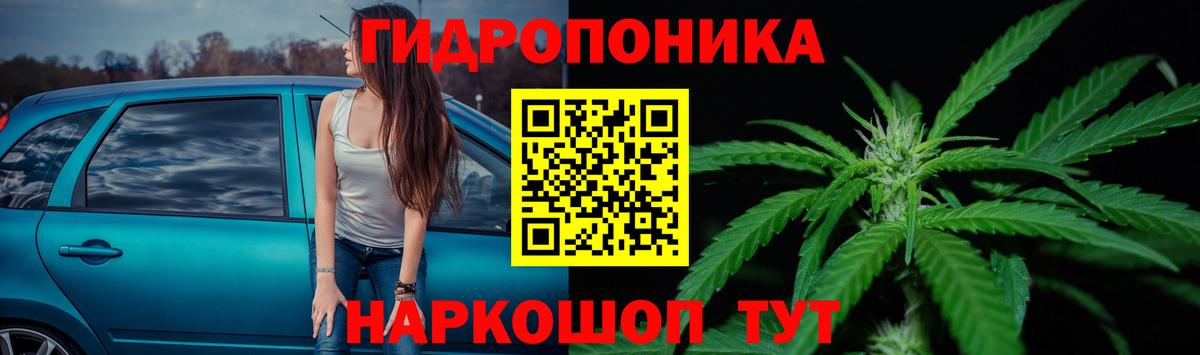 Каннабис конопля Тайшет